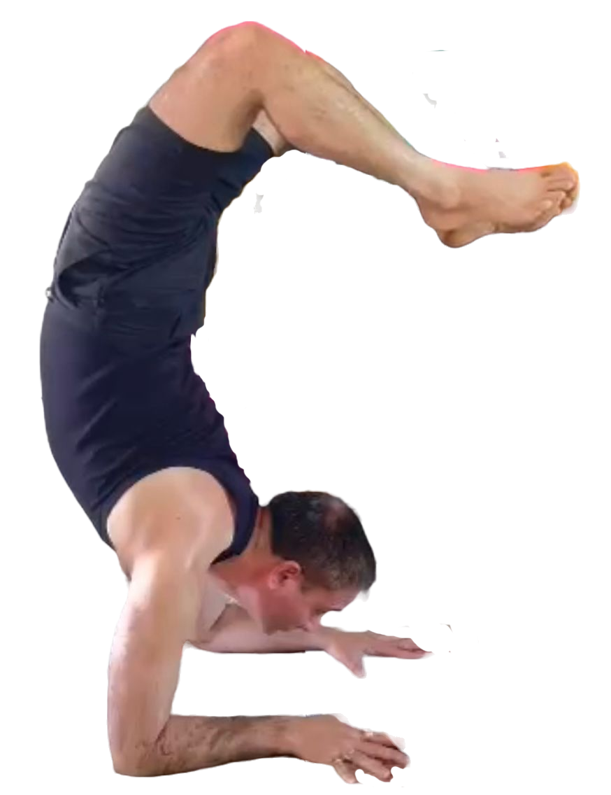 satwikyoga